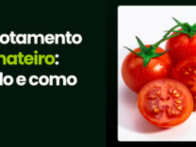 CAPA VÍDEOS SITE (3)