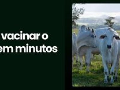 CAPA VÍDEOS SITE (3)