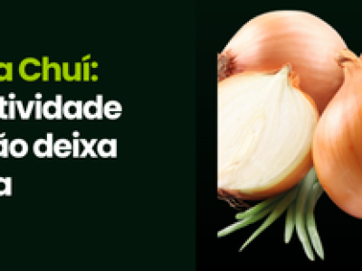 CAPA VÍDEOS SITE (3)