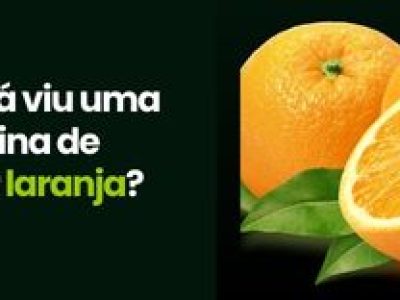 CAPA VÍDEOS SITE (3)