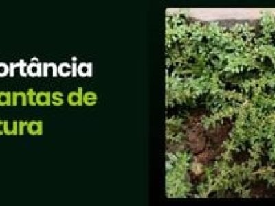CAPA VÍDEOS SITE