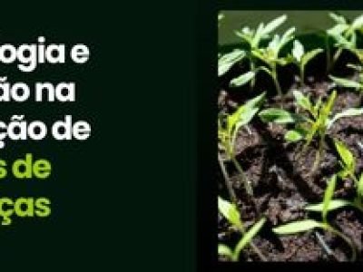 CAPA VÍDEOS SITE
