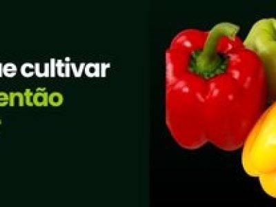 CAPA VÍDEOS SITE (3)