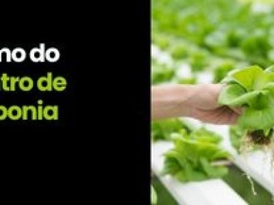 CAPA VÍDEOS SITE