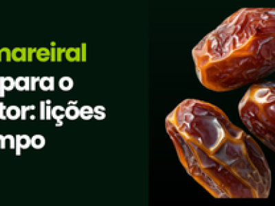 CAPA VÍDEOS SITE (4)