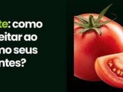 CAPA VÍDEOS SITE