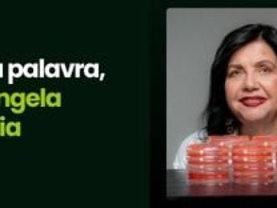 CAPA VÍDEOS SITE