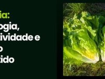 CAPA VÍDEOS SITE