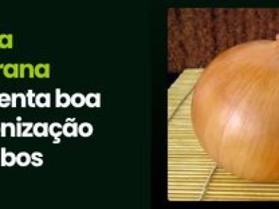 CAPA VÍDEOS SITE