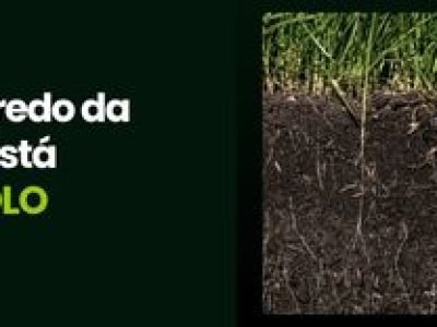 CAPA VÍDEOS SITE