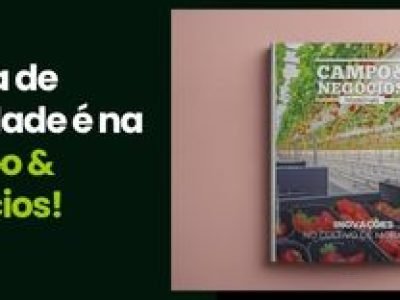 CAPA VÍDEOS SITE