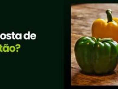 CAPA VÍDEOS SITE
