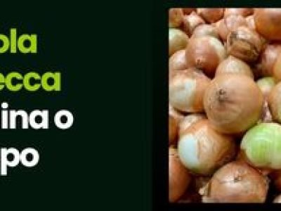 CAPA VÍDEOS SITE