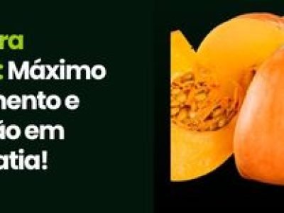 CAPA VÍDEOS SITE