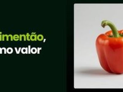 CAPA VÍDEOS SITE