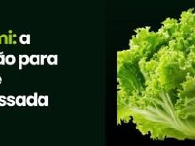 CAPA VÍDEOS SITE