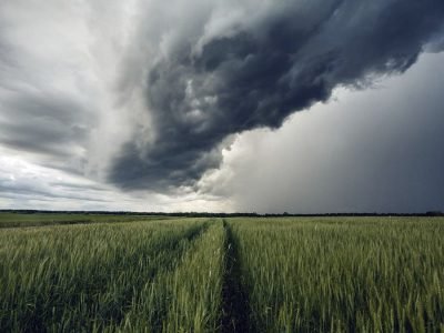 Lavoura - Crédito: Renan Marchi