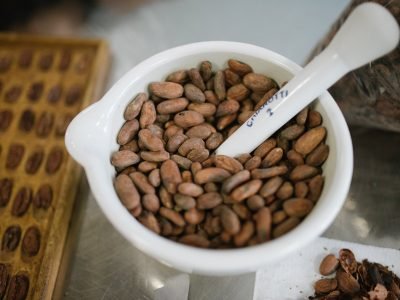 Mais de 60 produtores inscreveram lotes de amêndoas em único concurso da categoria no País
Ana Lee/Divulgação Chocolat Festival