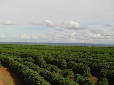 Café 103 - Crédito Sudoeste (03-2010)