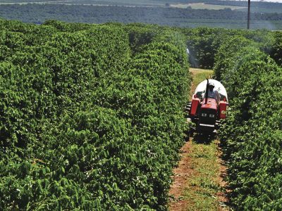 Café - Crédito Divulgação Agrishow