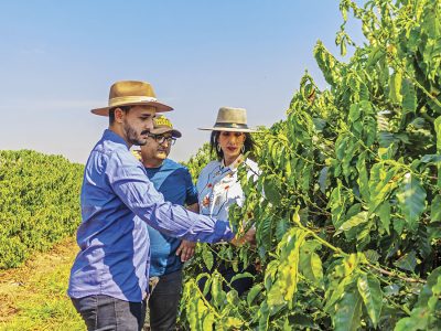 Café - Foto: Leonardo Moraes