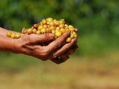 ????????????????????????????????????