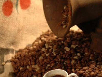 Crédito Fernando Gomes