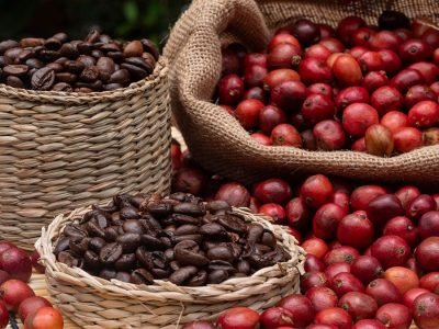 Café orgânico - Crédito: Shutterstock