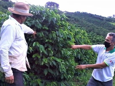 Café vulcânico - Foto: Divulgação