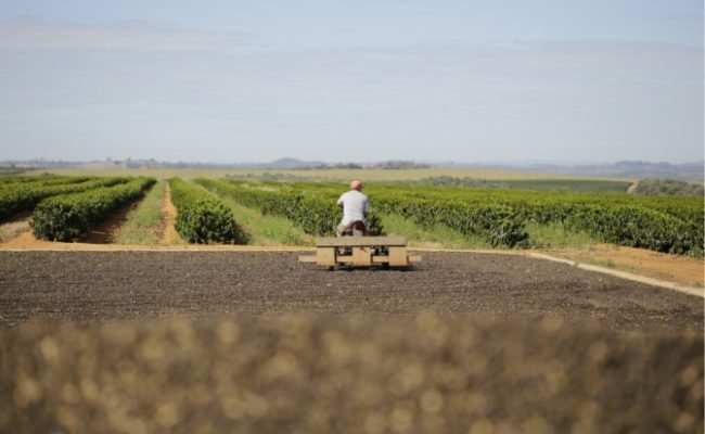 Caf+® no terreiro 2 (Pequeno)