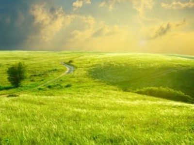 Caminho 01 - Crédito Shutterstock