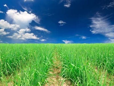 Crédito Shutterstock