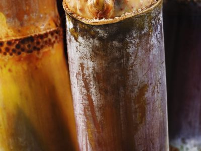 Cana - Crédito: Shutterstock