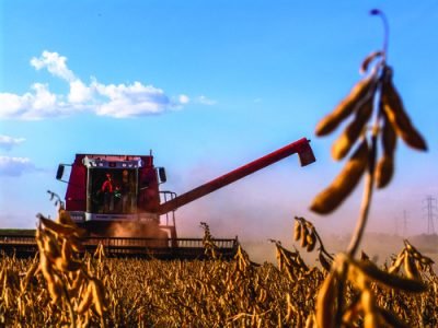 MATO GROSSO, BRAZIL - MAY 20, 2005: Soybean harvesting in Brazil