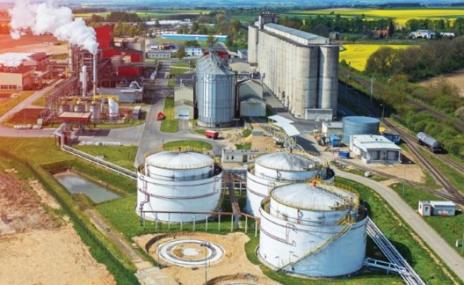 Capa 01 - Foto 01 (Pequeno)