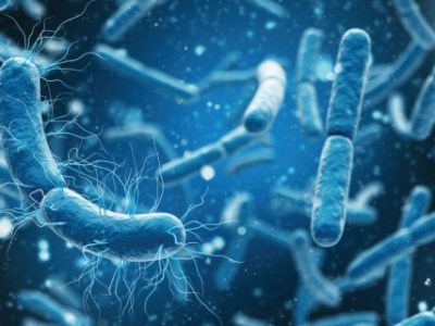 3D rendering bacteria closeup in blue background. 3d illustration.