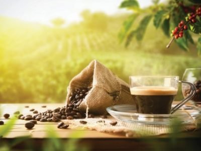 Freshly made coffee on wooden table with sack full of beans and plants and coffee fields in the background with sun rays. Front view. Horizontal composition.