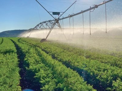 Capa-01-Foto-01-_Médio_