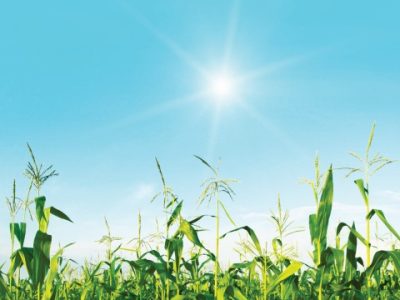 Capa 02 - Foto 01 (Pequeno)