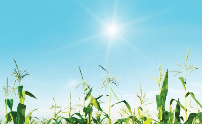 Capa 02 - Foto 01 (Pequeno)