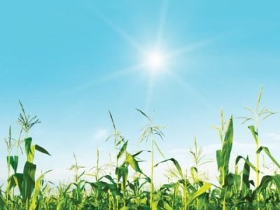 Capa 02 - Foto 01 (Pequeno)