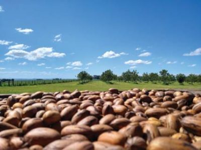 Capa 02 - Foto 01 (Telefone)