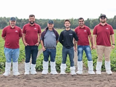 A equipe da Bioagro difunde o conceito de
colher morangos durante os 12 meses do ano