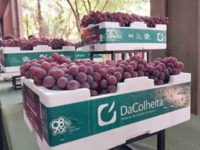 Capa 03 - Foto 01 (Telefone)