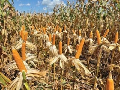 Capa 03 - Foto 01 (Telefone)