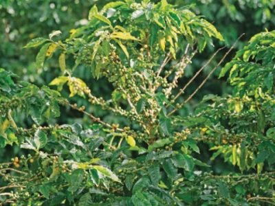 Capa 04 - Foto 01 (Pequeno)