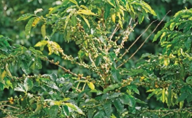 Capa 04 - Foto 01 (Pequeno)