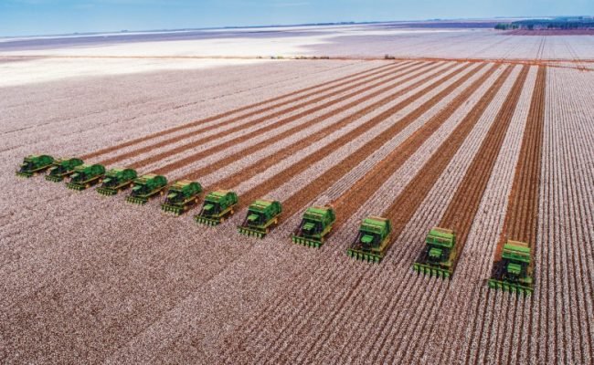 Correntina, Bahia, Brazil, February 26, 2019: Agriculture - Aerial image of several machines that harvest cotton straight in the field, with blue sky - Agribusiness
