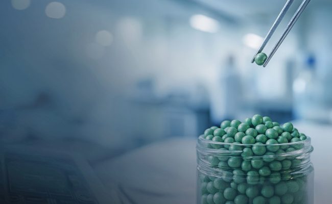 Fotos: Koppert Brasil