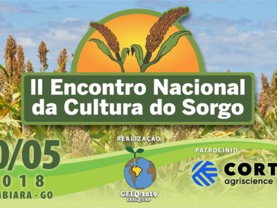 Capa Sorgo